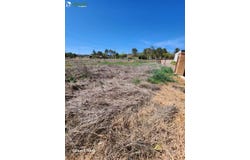 Alcolea De Calatrava, Castilla-La Mancha