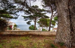 Palamós, Cataluña|Catalonia 17248