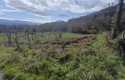As Neves, Pontevedra
