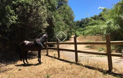 Sant Cugat del Vallés, Catalonia 08174