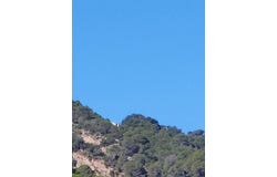 Gaucín, Andalusia 29480