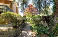 Majadahonda, Community of Madrid 28221