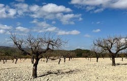 Bullas, Murcia