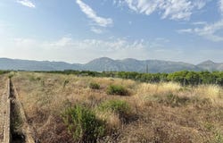 Alicante, Valencian Community 03780