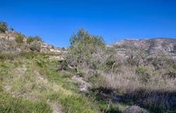 Benitachell, Valencia 03726