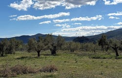 Onil, Valencia 03430