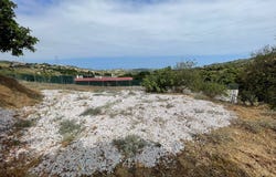 Estepona, Andalusia 29680