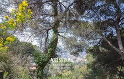 Cabrils, Catalonia 08348
