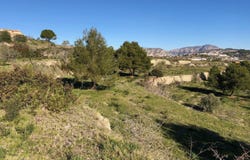 Teulada, Valencia 03724