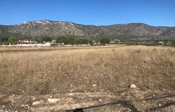 Salinas, Valencia 03130