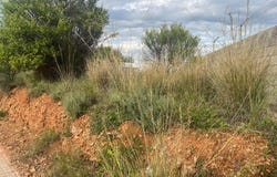 Betxi, Valencian Community 12549