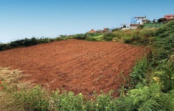 Realejos (Los), Canary Islands