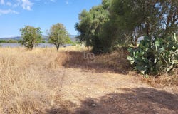 Balears (Illes), Balearic Islands 07320