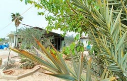 Hondon de los Frailes, Comunidad Valenciana