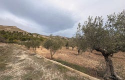 Onil, Valencian Community 03430