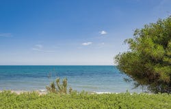Estepona, Andalusia 29680
