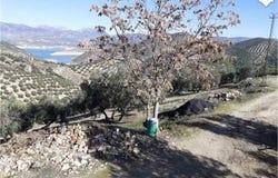 Iznajar, Cordoba