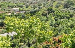Coín, Andalusia 29100