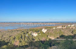 Pego, Valencian Community 03780