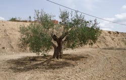 Abanilla, Murcia 30640