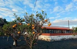Villaverde, Canarias 35640