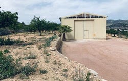 La Romana, Valencia 03669