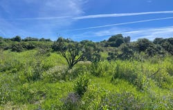Estepona, Andalusia 29680