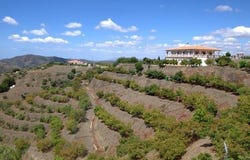 Sedella, Andalusia 29715