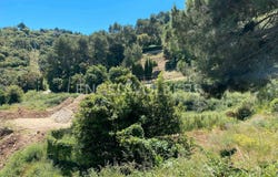 Palafolls, Catalonia 08389