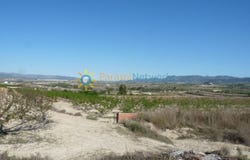 Bèlgida, Valencian Community 46868