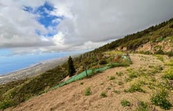 Gmar, Canary Islands