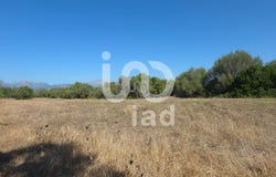Balears (Illes), Balearic Islands 07440