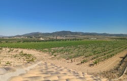 Pinoso, Valencian Community 03650
