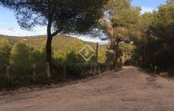 Castellet i la Gornal, Catalonia 08729