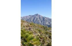 Benahavis, Malaga 29678