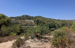 Teulada, Valencia 03724