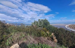 Alicante, Valencian Community 03780