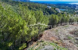 Callosa d'en Sarrià, Valencian Community 03510