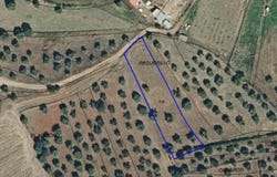 Torrico, Castile-La Mancha 45572
