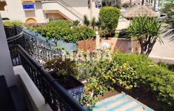 Calle Neptuno, Torrevieja, Valencian Community 03182