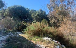 Guardamar del Segura, Valencian Community