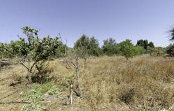 Malaga, Andalusia