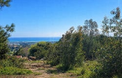 Sotogrande, Andalusia 11310