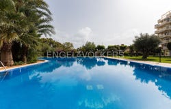 Dénia, Valencian Community 03700