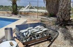 San Javier, Murcia, Region of Murcia 30730