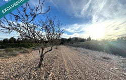 Monovar, Valencian Community 03640