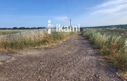 Toledo, Castile-La Mancha 45560