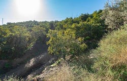 Torrox, Andalusia 29770