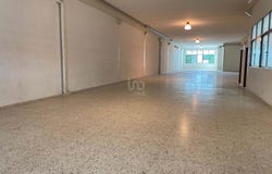 Elche, Valencia 03206