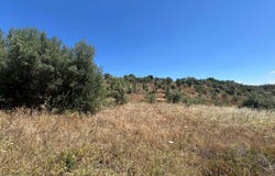 Sierra de Fuentes, Extremadura